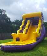 Tiger Mania waterslide 16 foot Tiger Mania waterslide 16 foot